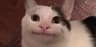 Kyce user profile picture