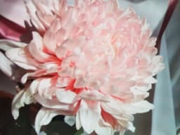 Veryberryblog