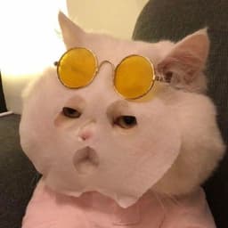 Aishamurant