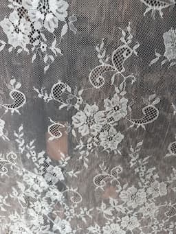 estheticallyyella