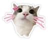 Rnka profile picture