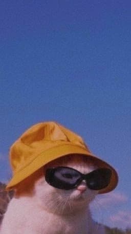 Mauiii