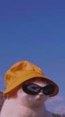 Mauiii profile picture