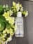 Skincareandfood profile picture