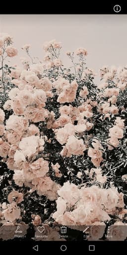 xxygirl