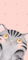 Xuefen user profile picture