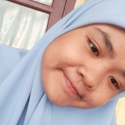anjournalskin