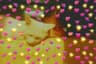 fatiispicky user profile picture