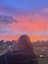 Cloverdover profile picture
