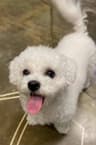 eriveauty user profile picture