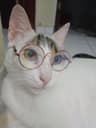 posluisa profile picture