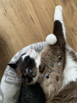 katesam