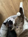 katesam profile picture