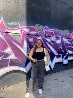 krisaimee