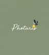 Photuris profile picture