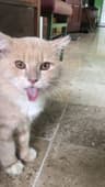 pickyimel profile picture