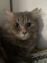 Kathrice profile picture