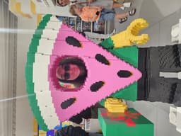NoamPeleg
