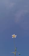 woder23 profile picture