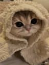 Aian profile picture