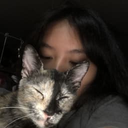 MinChoLee