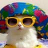PeaBrain profile picture