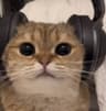 VaIe profile picture