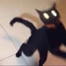 ahskinsofr profile picture