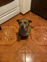 lilori profile picture