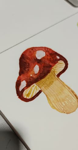 skinartery
