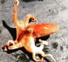 lalamcb profile picture