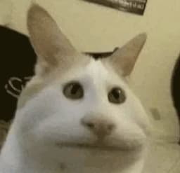 thematerialgworl