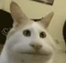 thematerialgworl profile picture