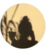 Immeiyii profile picture