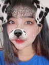 nodreamer profile picture