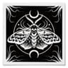 Tild profile picture