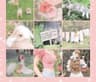 PickyAlpaca profile picture