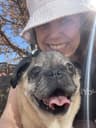 AmyDell profile picture