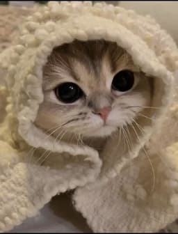Cinnamobun