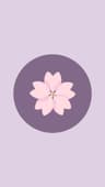 CosmeticsReload profile picture