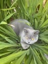 QueenReviewer23 profile picture