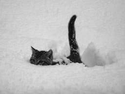 skykahyan