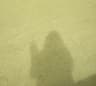michmerin user profile picture