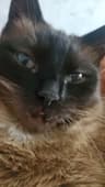 Jujus profile picture
