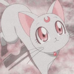 lilacbooc