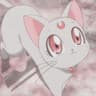 lilacbooc profile picture