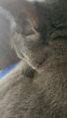 HaziqXu profile picture