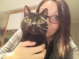 testerlory