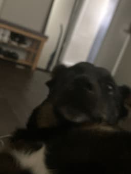 lilMINNIE