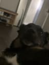 lilMINNIE profile picture
